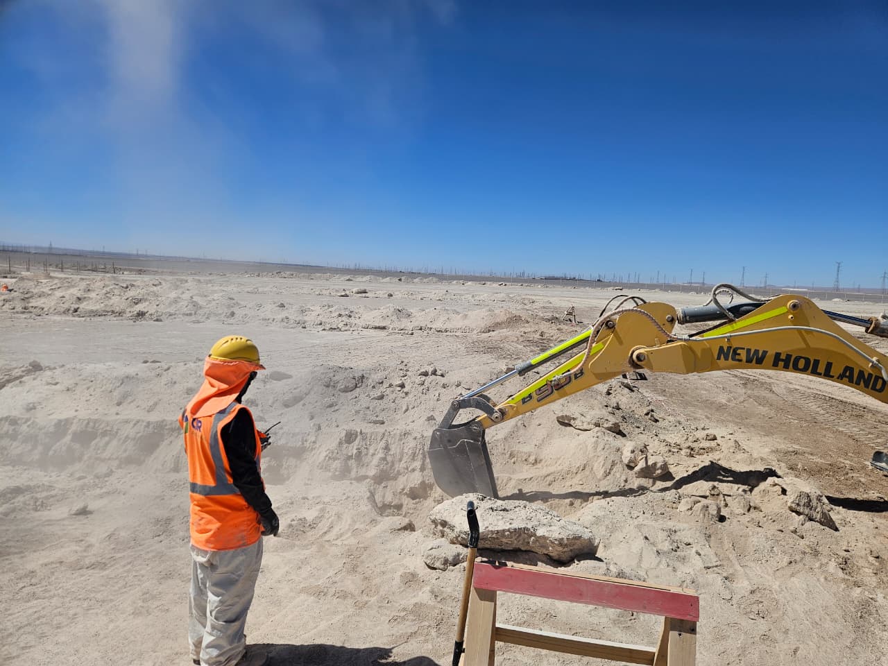 Monitoreo paleontológico en el Parque Fotovoltaico Estepa Solar